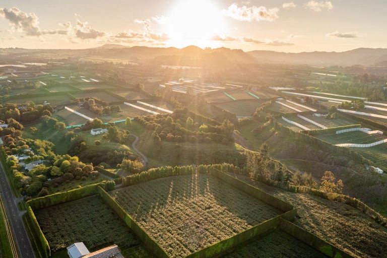 Photo of property in 612 No 1 Road, Te Puke, 3182