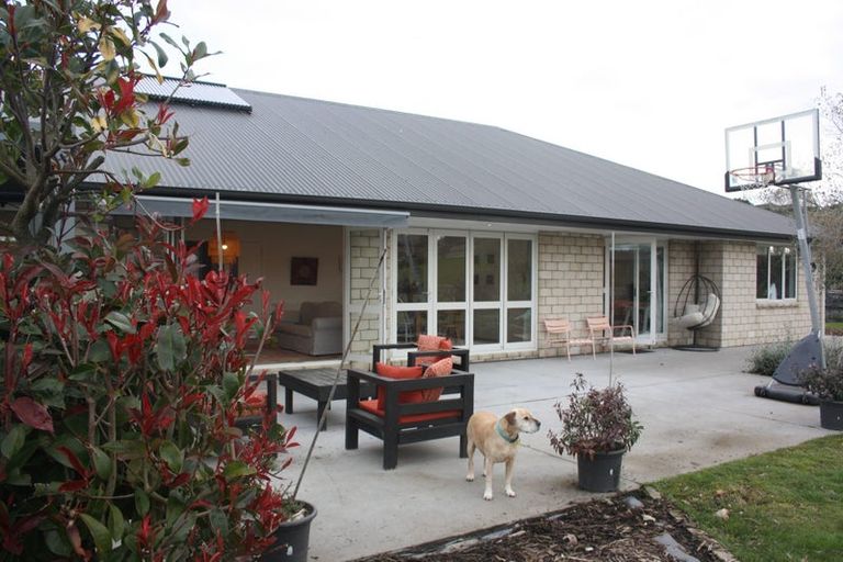 Photo of property in 102 Maungakawa Road, Cambridge, 3496