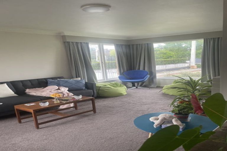 Photo of property in 41 Cunningham Road, Beerescourt, Hamilton, 3200