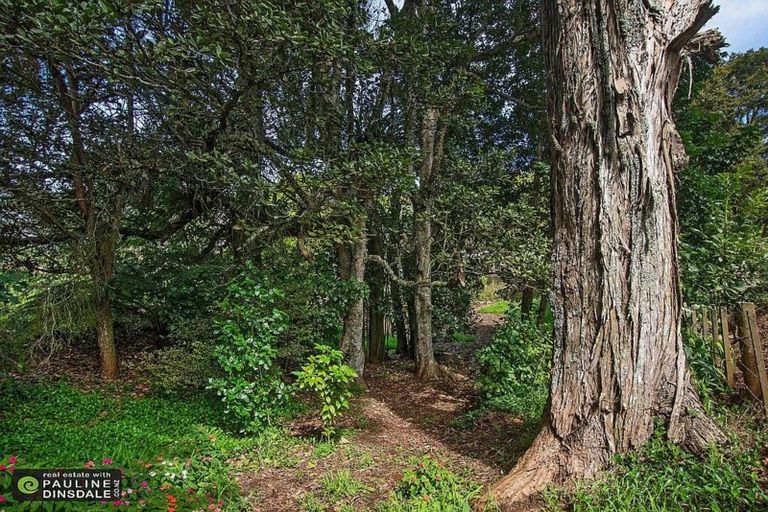 Photo of property in 151 Dip Road, Te Kamo, Whangarei, 0176