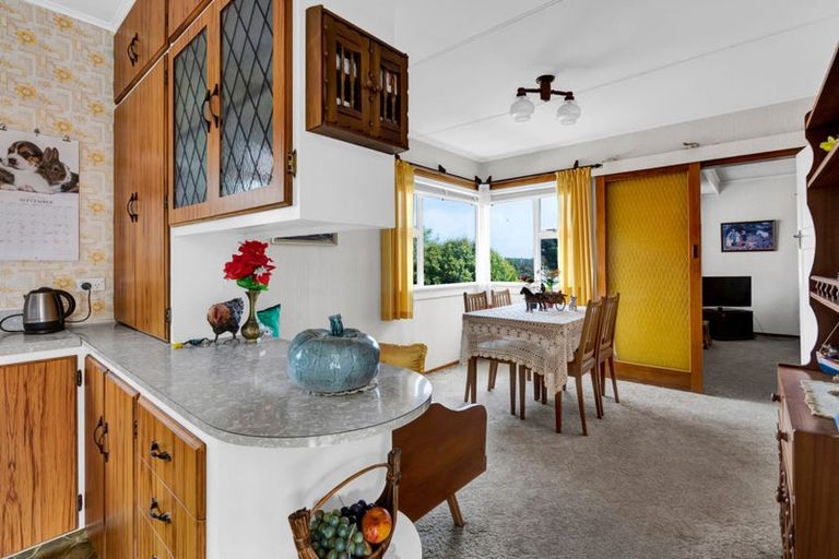 Photo of property in 19 Essex Street, Vogeltown, New Plymouth, 4310