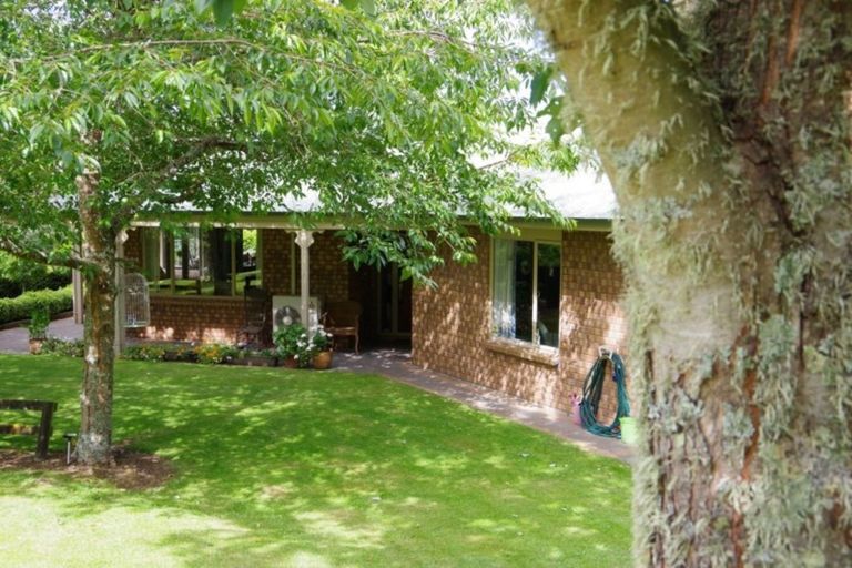 Photo of property in 141 Palmer Mill Road, Wairakei, Taupo, 3384