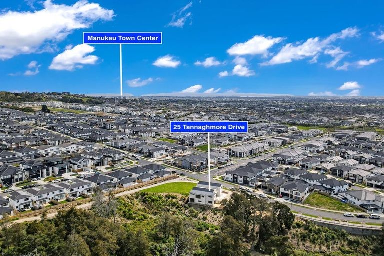 Photo of property in 25 Tannaghmore Drive, Flat Bush, Auckland, 2019