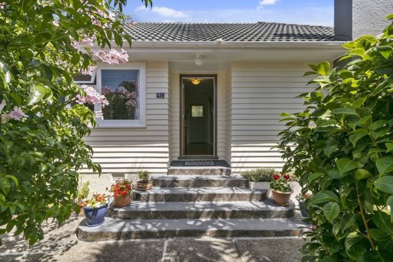 Photo of property in 41 Pukatea Street, Eastbourne, Lower Hutt, 5013