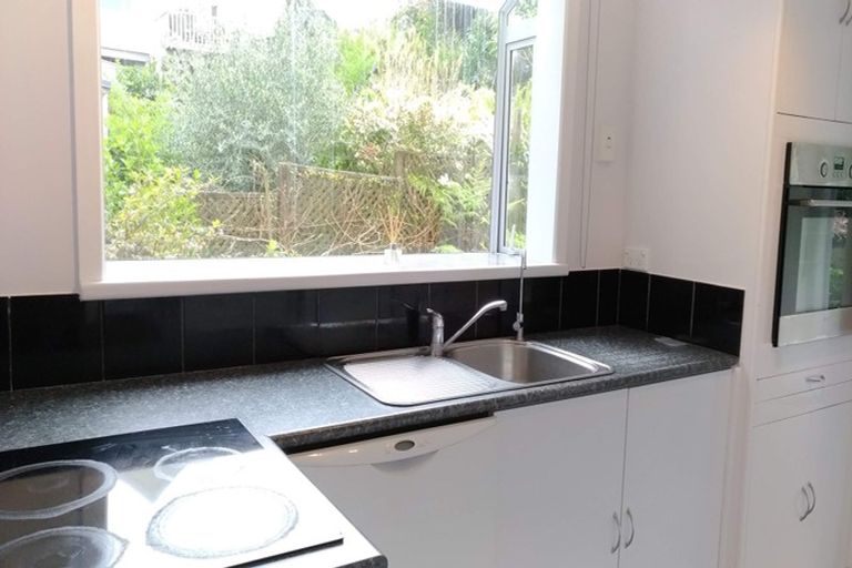 Photo of property in 19 Orion Place, Hillcrest, Auckland, 0627