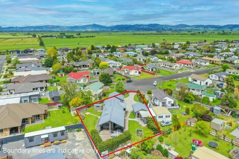 Photo of property in 17 Miller Place, Ngatea, 3503