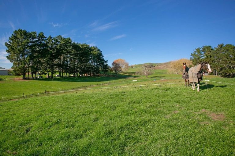 Photo of property in 958 Limeworks Loop Road, Karamu, Hamilton, 3285