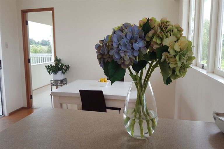 Photo of property in 507 Horseshoe Bush Road, Dairy Flat, Albany, 0794