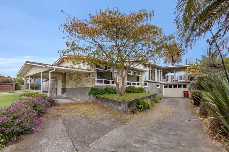 Photo of property in 17 Glen Street, Levin, 5510