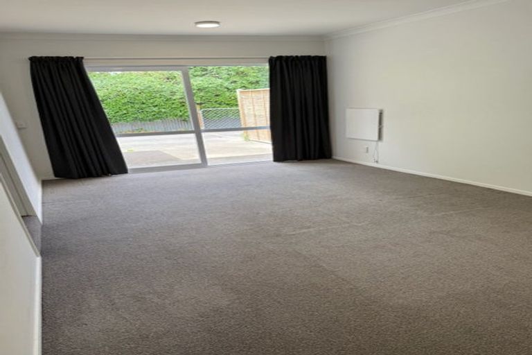 Photo of property in 49a Te Aute Road, Havelock North, 4130