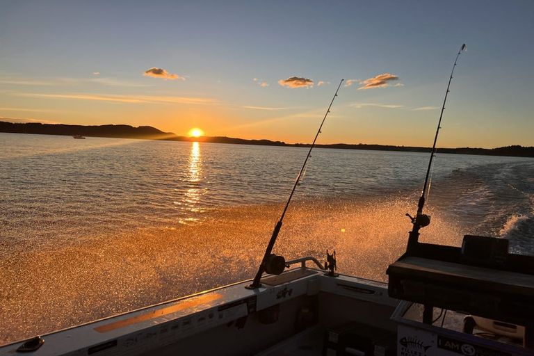 Photo of property in 1304 State Highway 30, Rotoiti Forest, Rotorua, 3074