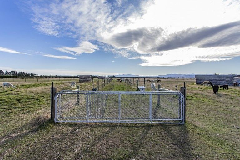 Photo of property in 529 Downs Road, Eyrewell, Rangiora, 7476