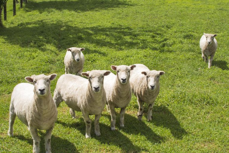 Photo of property in 526b Belk Road, Omanawa, 3171