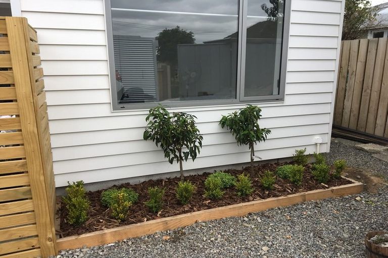 Photo of property in 12c Broadway Street, Martinborough, 5711