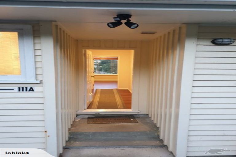 Photo of property in 111 Ruskin Road, Newlands, Wellington, 6037