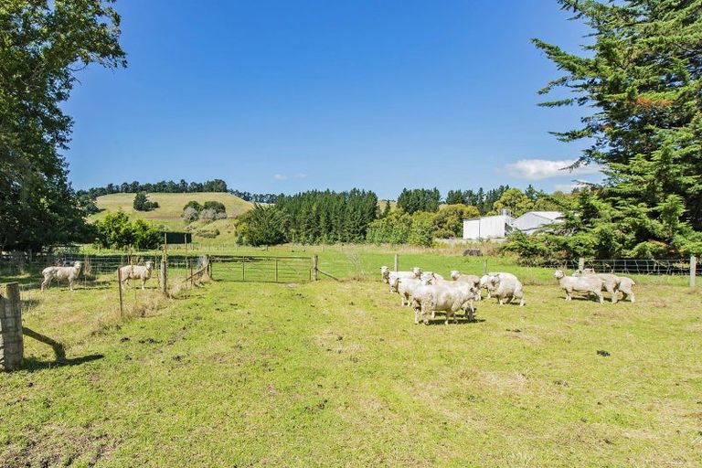 Photo of property in 52 Leslie Street, Waiau, 7332