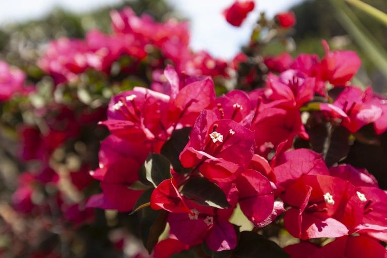 Photo of property in 105 Waterfall Road, Paraparaumu, 5032