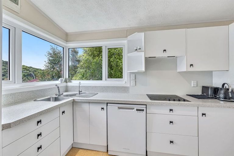 Photo of property in 38 Eugenia Rise, Totara Heights, Auckland, 2105