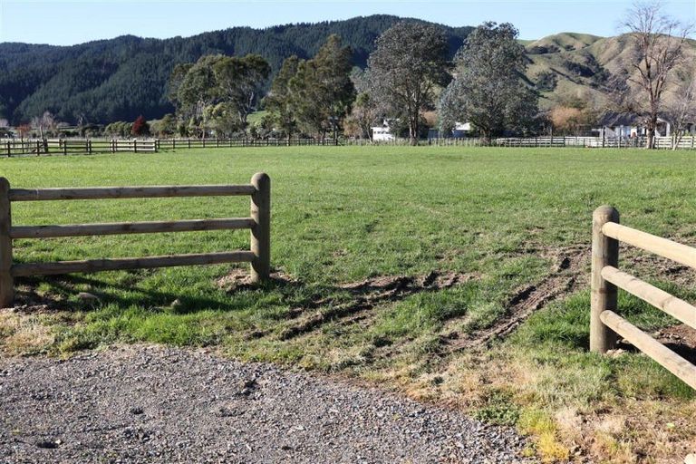 Photo of property in 431 Tararua Road, Levin, 5571