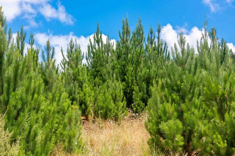 Photo of property in 147 Taita Road, Waimamaku, Kaikohe, 0473