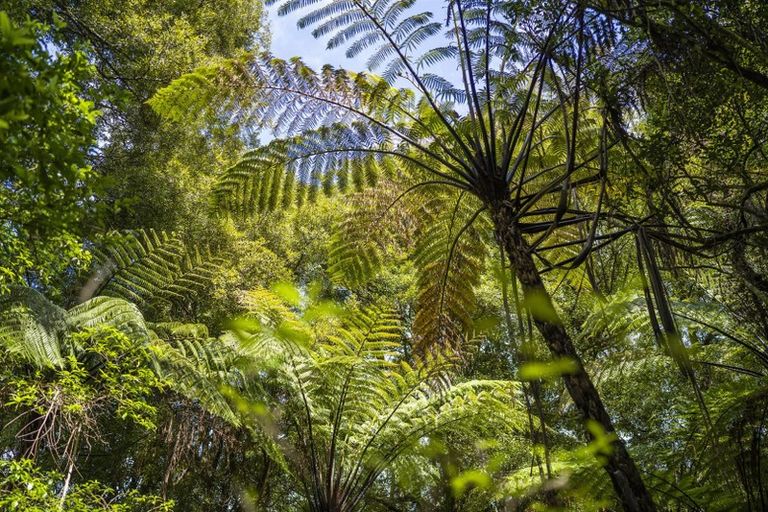 Photo of property in 52c Williams Road South, Pyes Pa, Tauranga, 3173