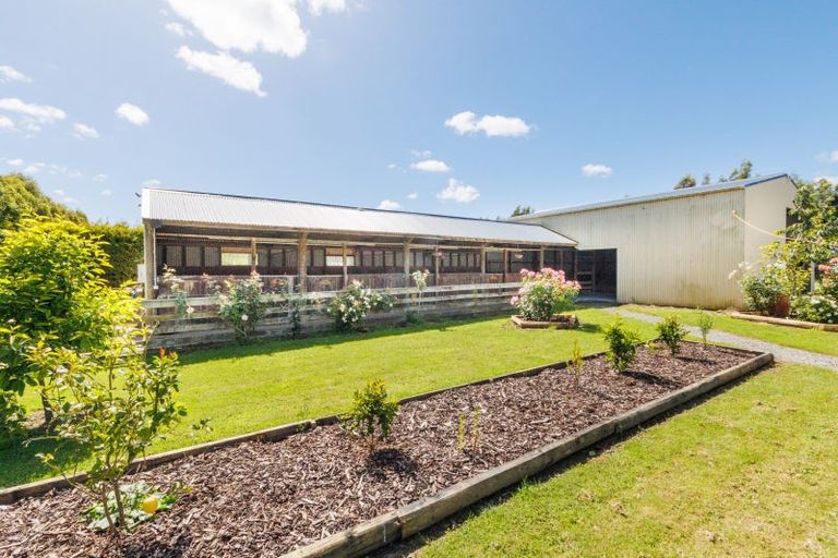 Photo of property in 237 Ngaio Road, Halcombe, Palmerston North, 4479