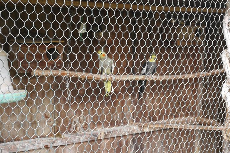 Photo of property in 97 Hangawera Road, Morrinsville, 3375