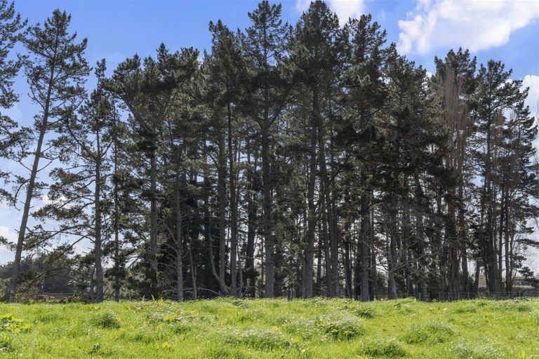 Photo of property in 93b Woodside Road, Matangi, Hamilton, 3284