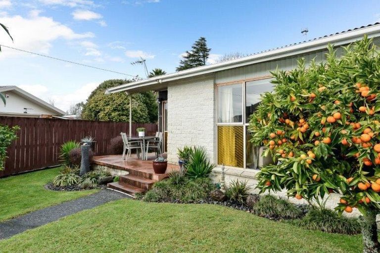 Photo of property in 31a Hobson Street, Maeroa, Hamilton, 3200