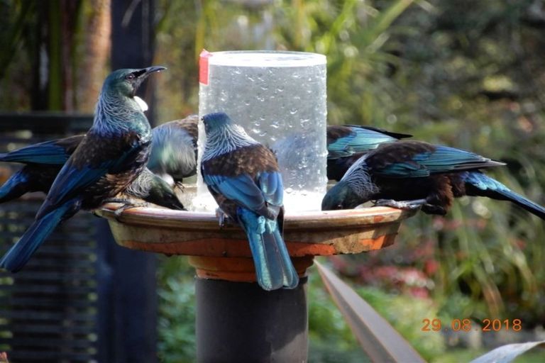 Photo of property in 76 Falls Road, Warkworth, 0910