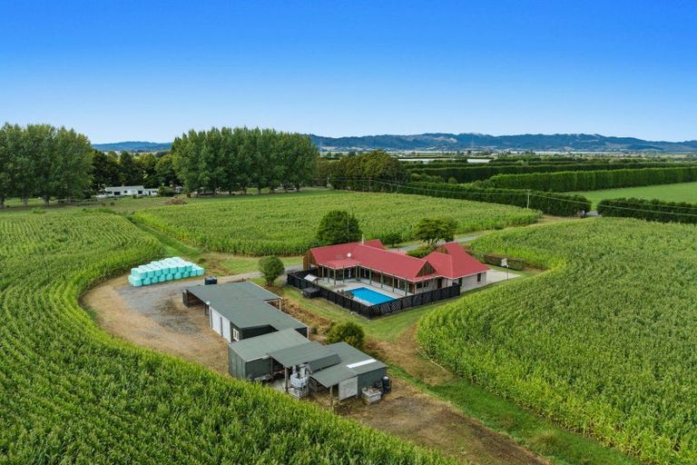 Photo of property in 164 Otakiri Road, Edgecumbe, Whakatane, 3192