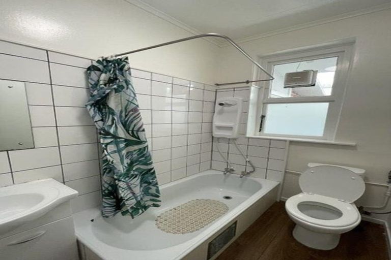 Photo of property in 17 Miro Street, Miramar, Wellington, 6022