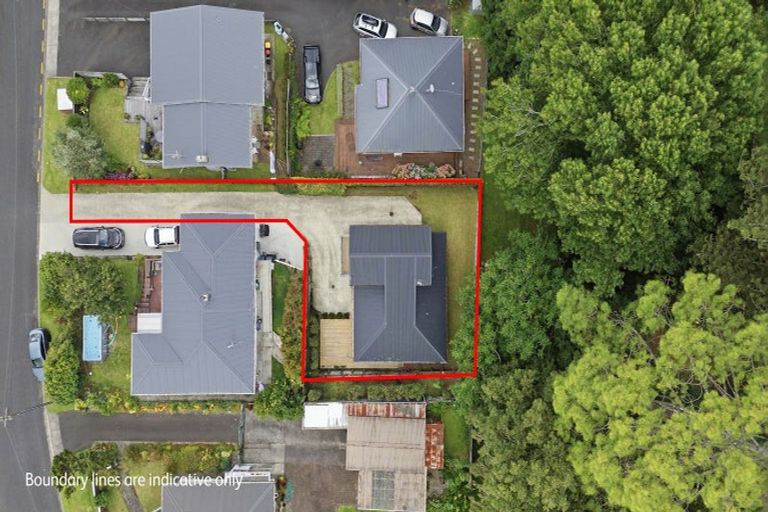 Photo of property in 24b Harrier Street, Parkvale, Tauranga, 3112