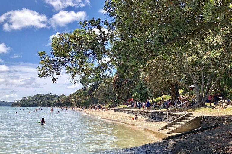 Photo of property in 16 Joan Street, Point Chevalier, Auckland, 1022