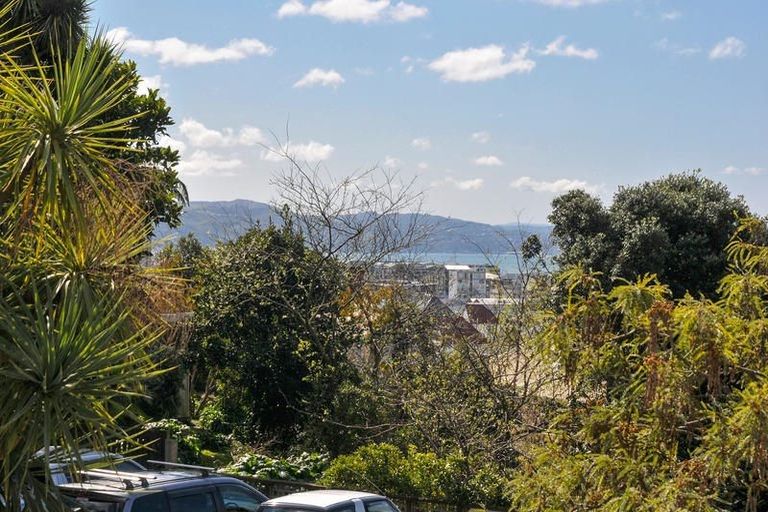 Photo of property in Sherwood Mews, 28a Bidwill Street, Mount Cook, Wellington, 6021