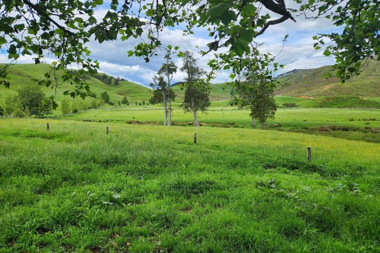 Photo of property in 201 Pond Road, Raglan, 3295