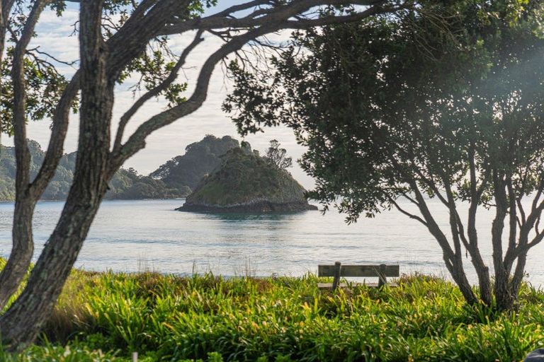 Photo of property in 122 Mangakahia Drive, Whangapoua, Coromandel, 3582