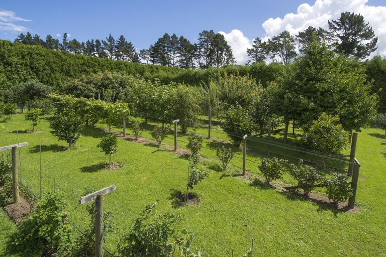 Photo of property in 526b Belk Road, Omanawa, 3171