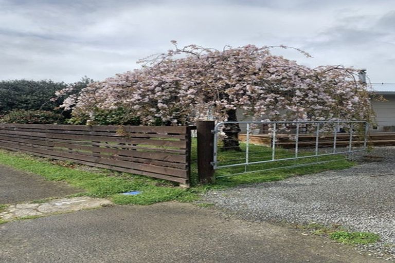 Photo of property in 3 Philip Street, Solway, Masterton, 5810