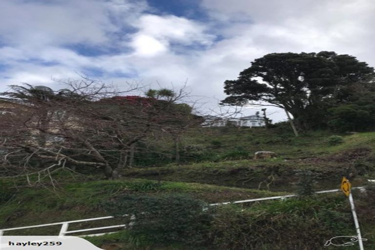 Photo of property in 54 Raroa Road, Kelburn, Wellington, 6012