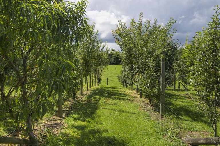 Photo of property in 526b Belk Road, Omanawa, 3171