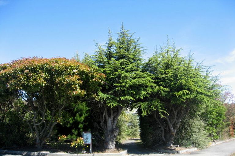 Photo of property in 8 Reginald Street, Burwood, Christchurch, 8083