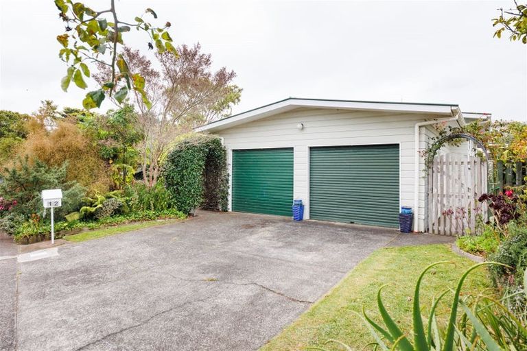 Photo of property in 12 Belgrave Place, Awapuni, Palmerston North, 4412
