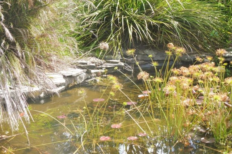 Photo of property in 684a Thames Coast Sh25 Road, Ruamahunga, Thames, 3575