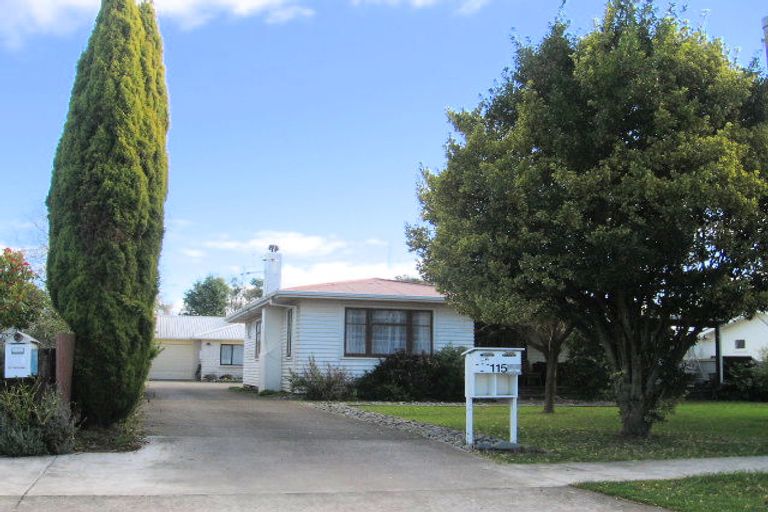 Photo of property in 115 King Street, Taradale, Napier, 4112