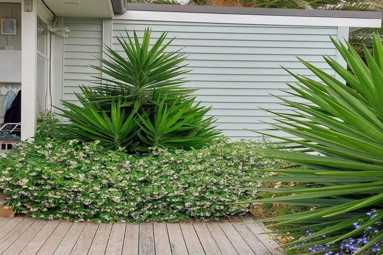 Photo of property in 27 Hona Street, Waikanae Beach, Waikanae, 5036