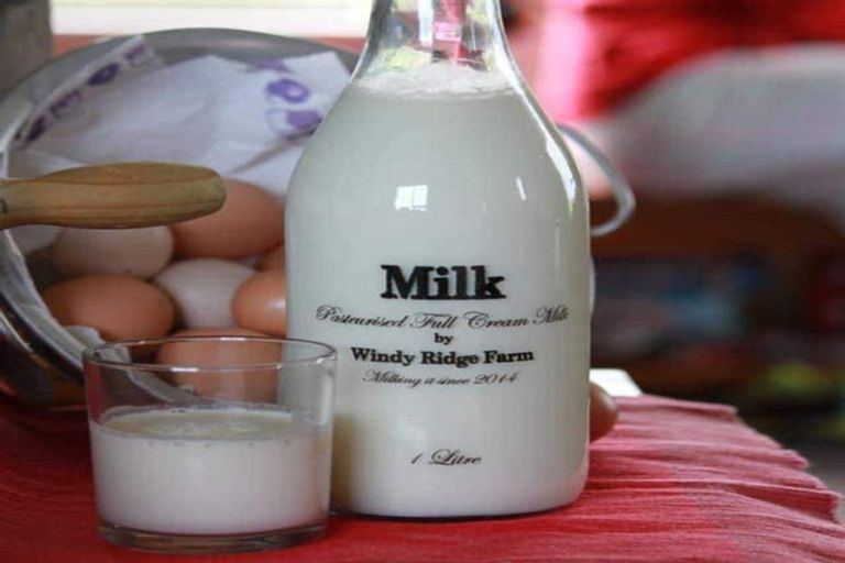 Photo of property in 31 Windy Ridge Road, Benhar, Balclutha, 9272