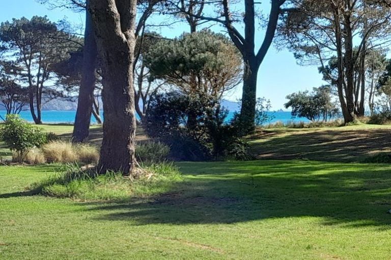 Photo of property in 790 Matarangi Drive, Matarangi, Whitianga, 3592