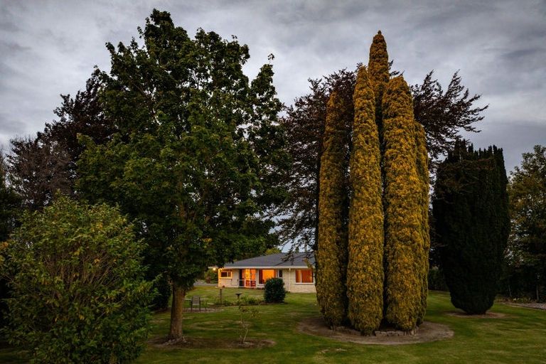 Photo of property in 77 Colemans Road, Springlands, Blenheim, 7201