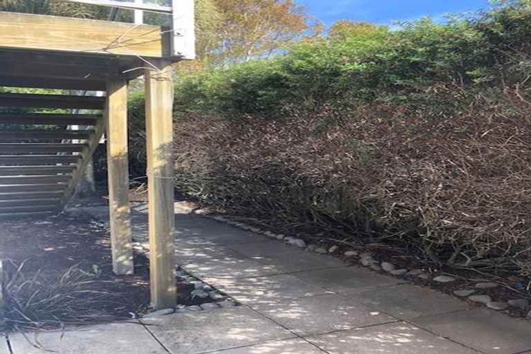 Photo of property in 10 Cotterill Street, Addington, Christchurch, 8024